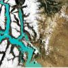 «Open Surface» پیشگام هوش مصنوعی در رصد کاربری اراضی و جنگل زدایی