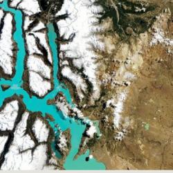 «Open Surface» پیشگام هوش مصنوعی در رصد کاربری اراضی و جنگل زدایی