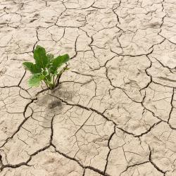 رویکرد مبتنی بر فناوری بلاکچین برای مدیریت خشکسالی
